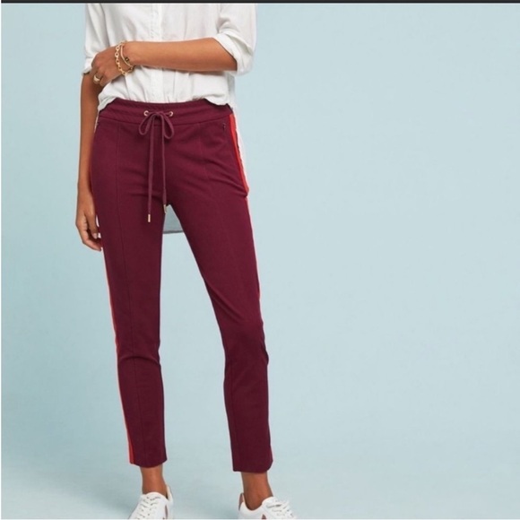 Anthropologie The Essential Slim Wine Red Striped Trouser Pants Size 10 - Picture 2 of 16